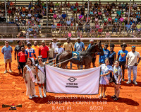 080224 Harness Racing